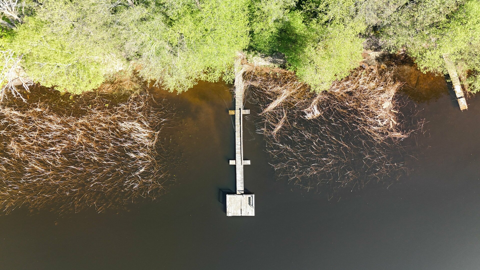 Parduodamas sklypas Zarasų rajono sav., Gipėnuose