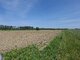 Parduodamas sklypas Vilniuje, Pagiriuose (5 nuotrauka)