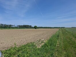 Parduodamas sklypas Vilniuje, Pagiriuose