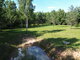 Land for sale Anykščių rajono sav., Pavarės II (5 picture)