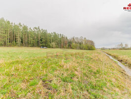 Участок Druskininkų sav., Snaigupėje, Paraistės g.