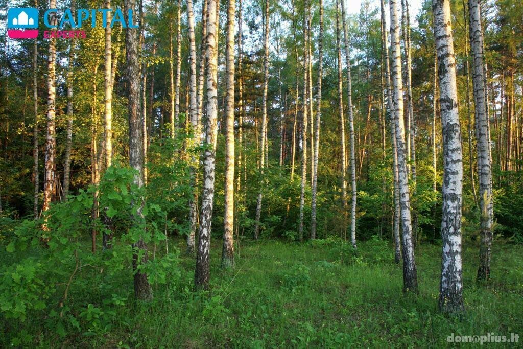 Land for sale Vilniaus rajono sav., Liepiškėse