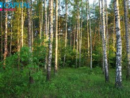 Land for sale Vilniaus rajono sav., Liepiškėse