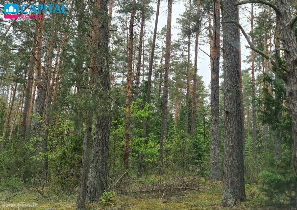 Land for sale Vilniaus rajono sav., Liepiškėse