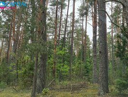 Land for sale Vilniaus rajono sav., Liepiškėse