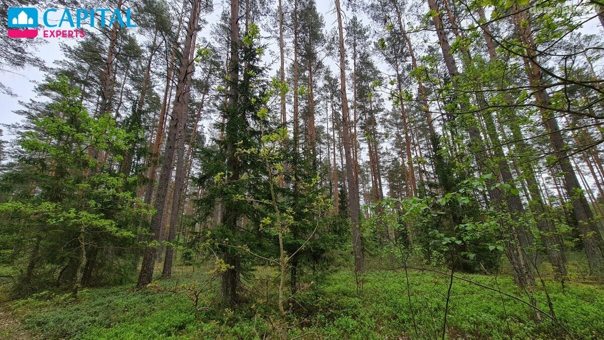 Land for sale Vilniaus rajono sav., Liepiškėse
