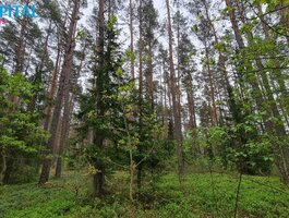 Land for sale Vilniaus rajono sav., Liepiškėse