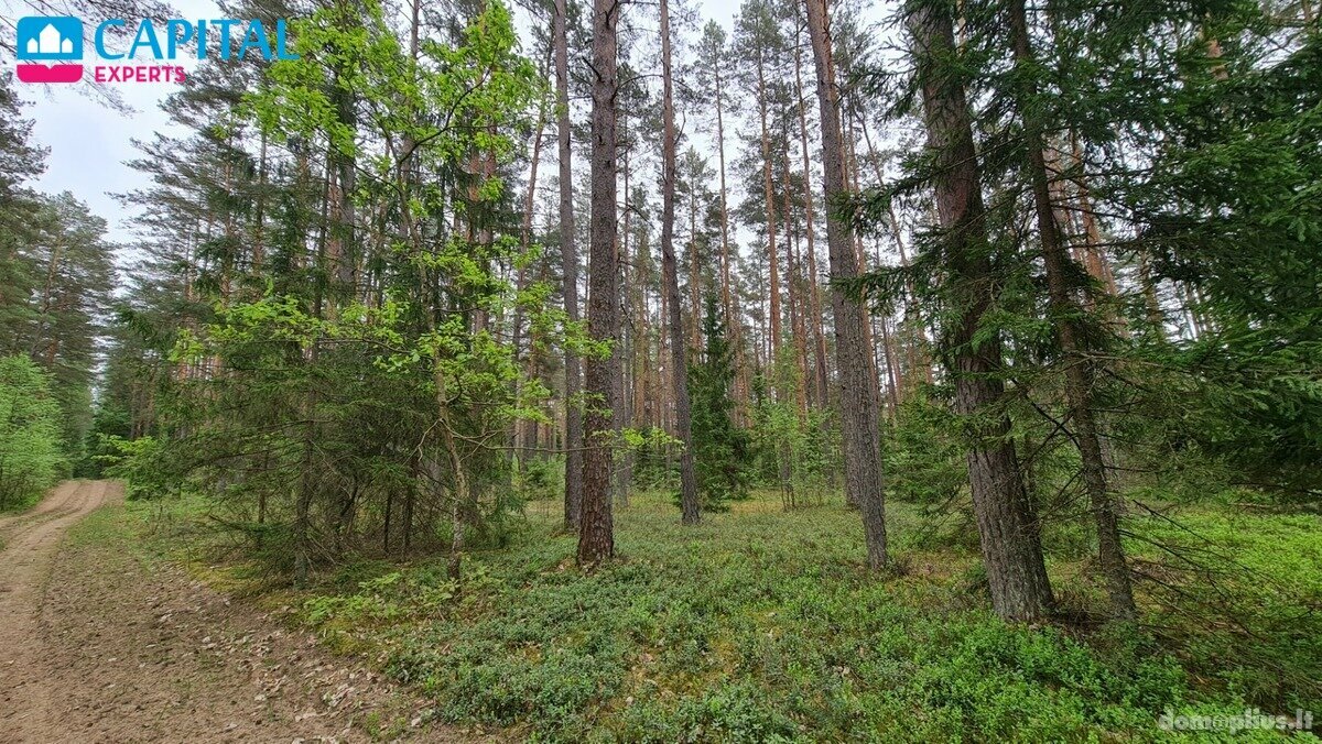 Land for sale Vilniaus rajono sav., Liepiškėse
