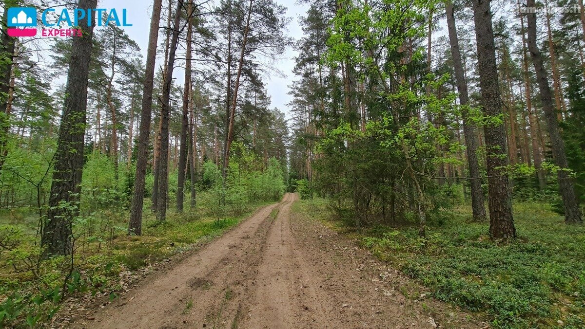 Land for sale Vilniaus rajono sav., Liepiškėse