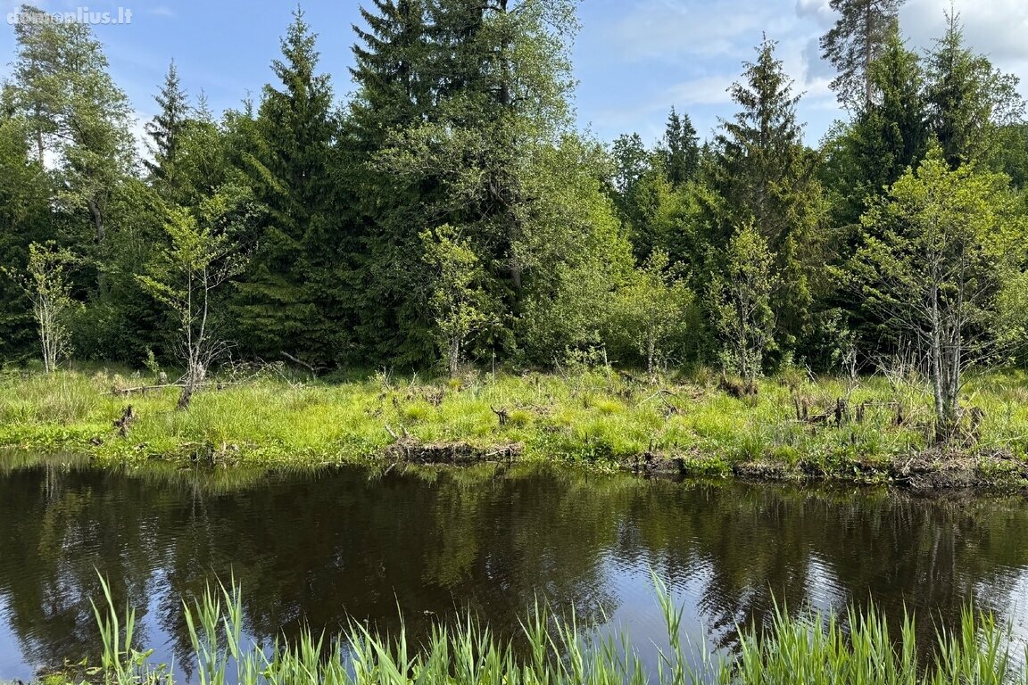 Land for sale Trakų rajono sav., Subartėnuose