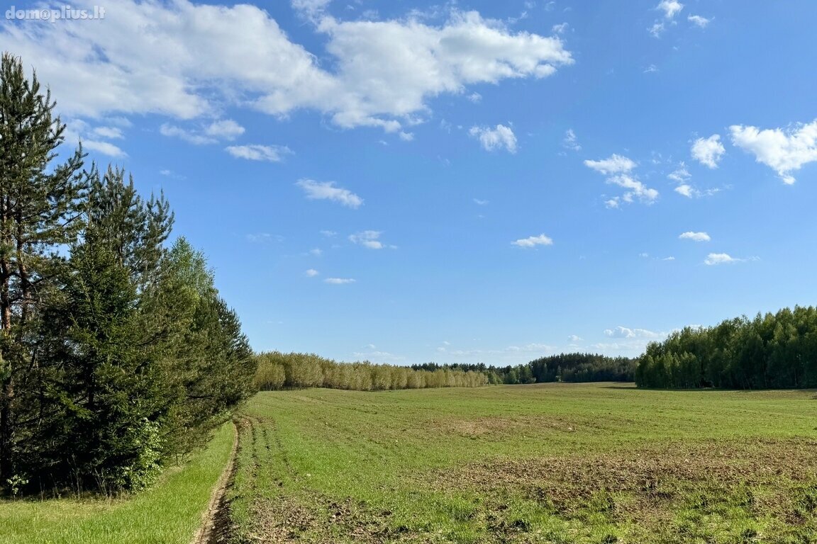 Участок Trakų rajono sav., Vytautavoje