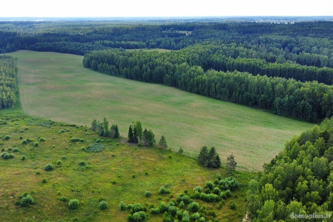 Участок Trakų rajono sav., Vytautavoje