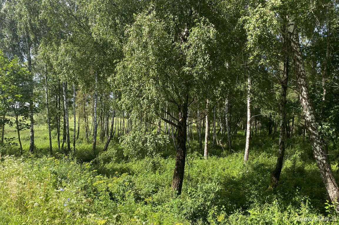 Parduodamas sklypas Trakų rajono sav., Padvariškėse