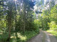Parduodamas sklypas Trakų rajono sav., Lausgeniuose (3 nuotrauka)