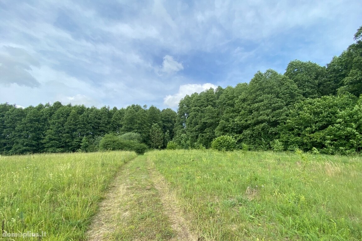 Parduodamas sklypas Trakų rajono sav., Kozelkiškėse
