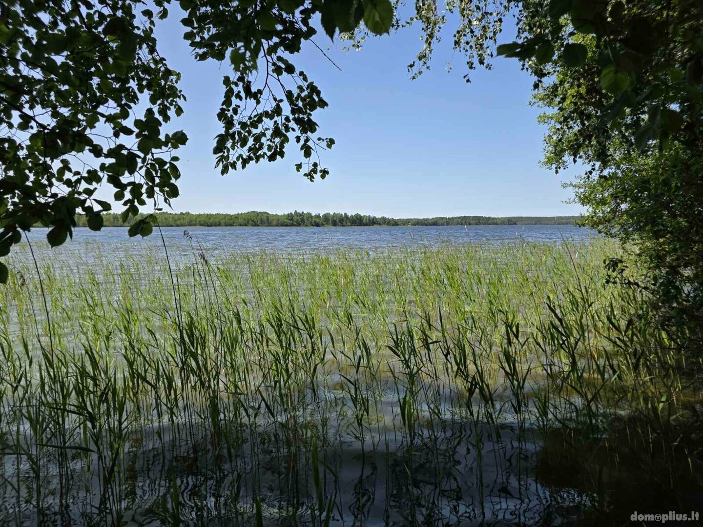 Parduodamas sklypas Ignalinos rajono sav., Ažvinčiuose
