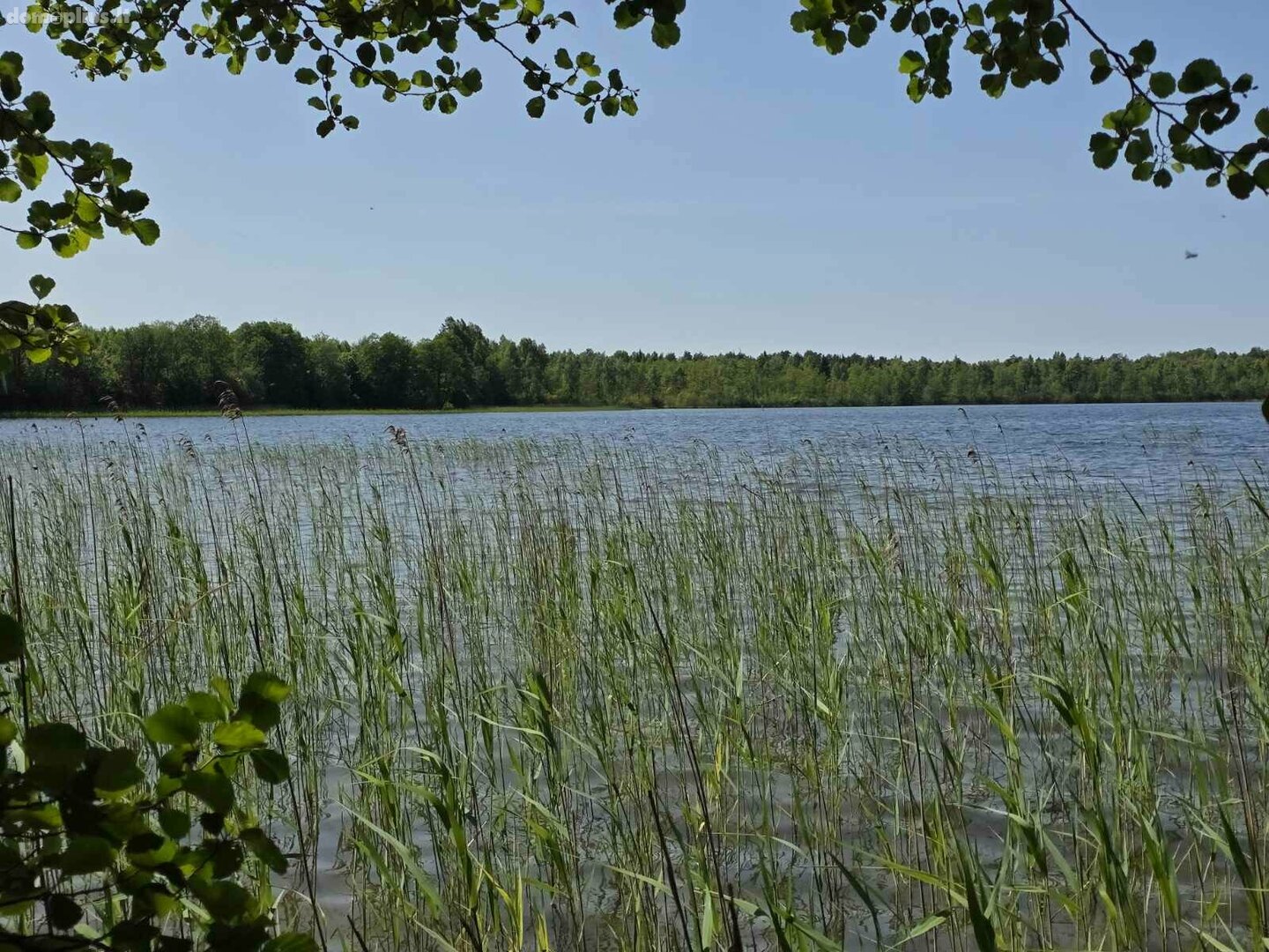 Parduodamas sklypas Ignalinos rajono sav., Ažvinčiuose
