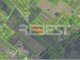 Parduodamas sklypas Šiaulių rajono sav., Verduliukuose (8 nuotrauka)