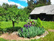 Land for sale Anykščių rajono sav., Gilvydžiuose (4 picture)