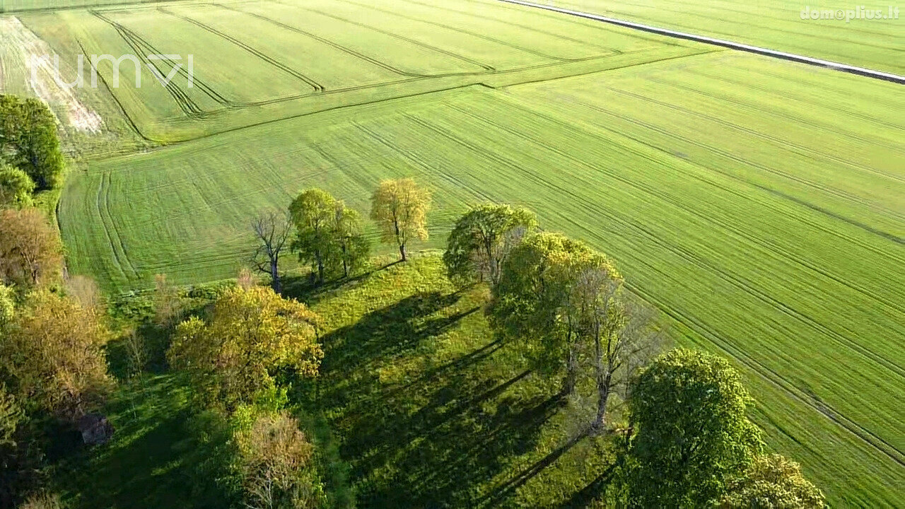 Parduodamas sklypas Panevėžio rajono sav., Bobiniškiuose