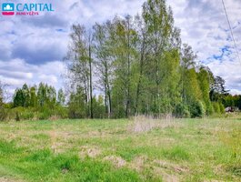 Parduodamas sklypas Panevėžio rajono sav., Startuose