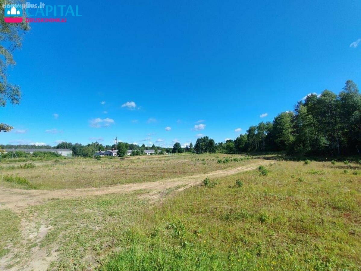 Land for sale Druskininkų sav., Lipliūnuose