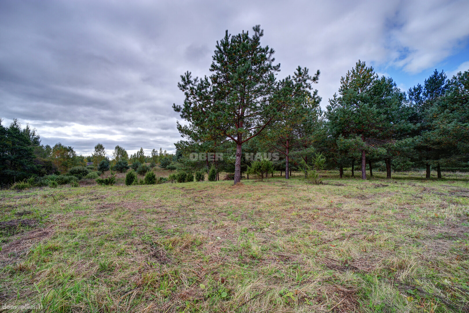 Land for sale Molėtų rajono sav., Grybėnuose