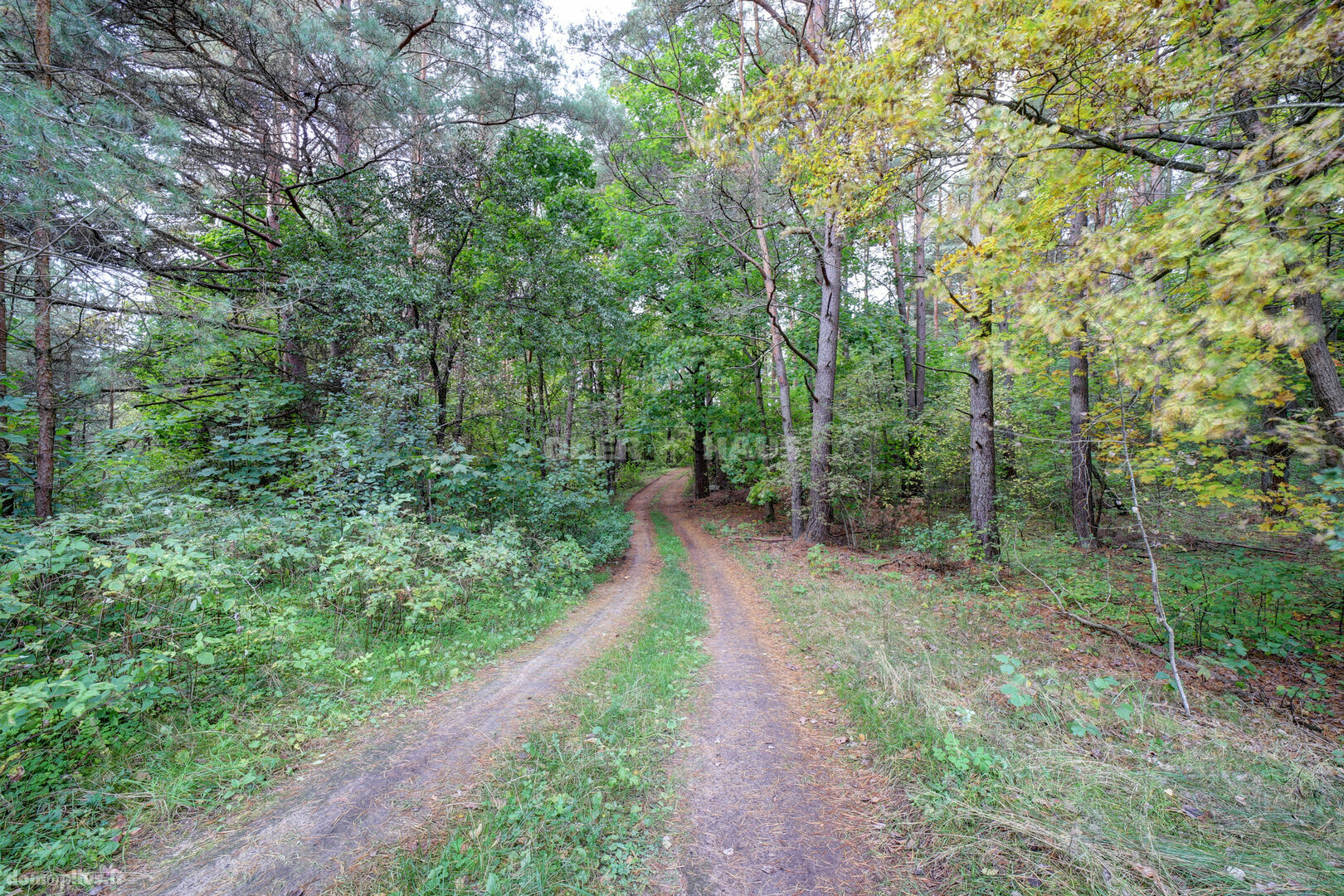 Land for sale Molėtų rajono sav., Grybėnuose