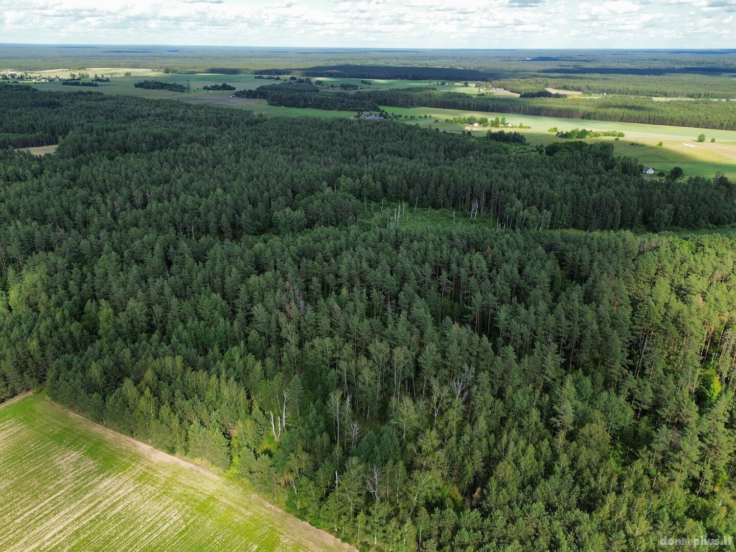 Parduodamas sklypas Varėnos rajono sav., Liškiavoje, Bažnyčios g.