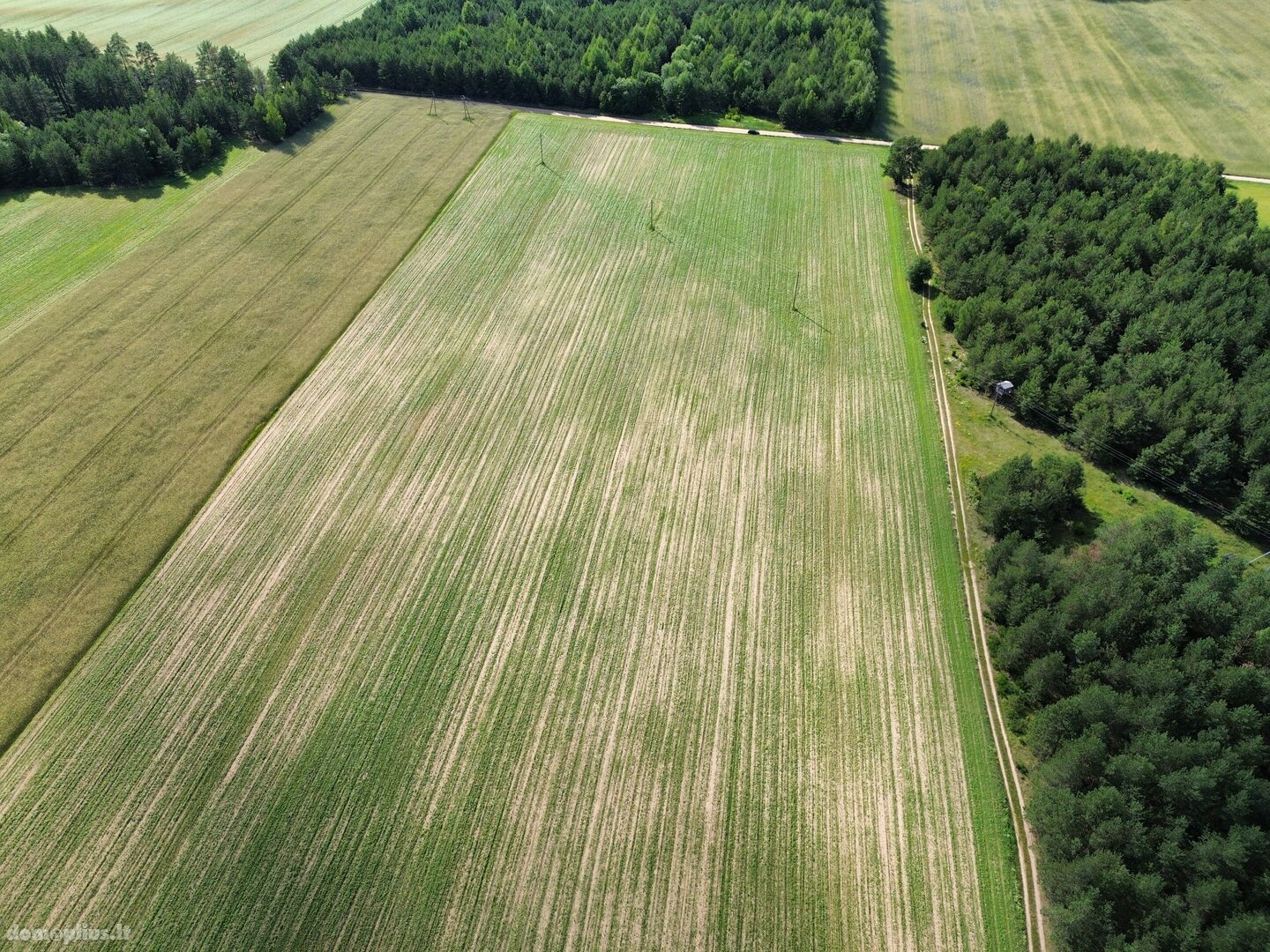 Parduodamas sklypas Varėnos rajono sav., Liškiavoje, Bažnyčios g.