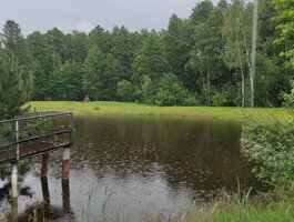 Parduodamas sklypas Panevėžio rajono sav., Mitkuose, Vyšnių g.
