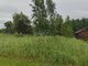 Parduodamas sklypas Panevėžio rajono sav., Mitkuose, Vyšnių g. (6 nuotrauka)