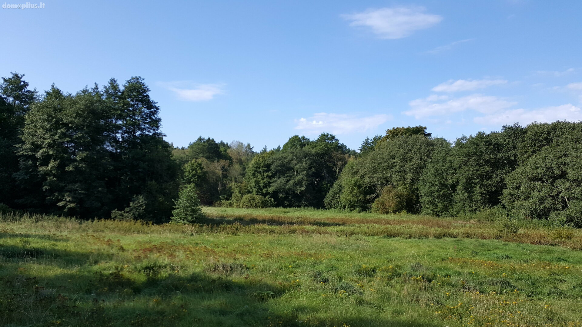 Parduodamas sklypas Šventojoje, Kalgraužių g.