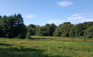 Land Šventojoje, Kalgraužių g.