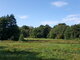 Parduodamas sklypas Šventojoje, Kalgraužių g. (1 nuotrauka)