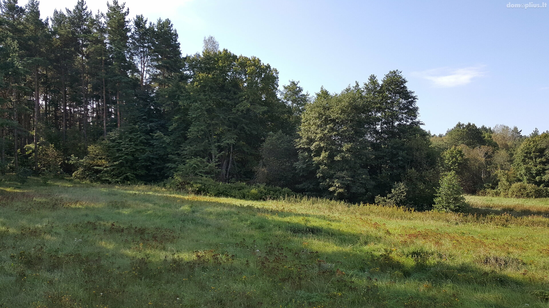Участок Šventojoje, Kalgraužių g.