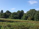 Parduodamas sklypas Šventojoje, Kalgraužių g. (15 nuotrauka)