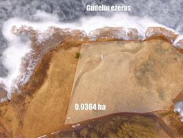 Parduodamas sklypas Šiaulių rajono sav., Gudeliuose