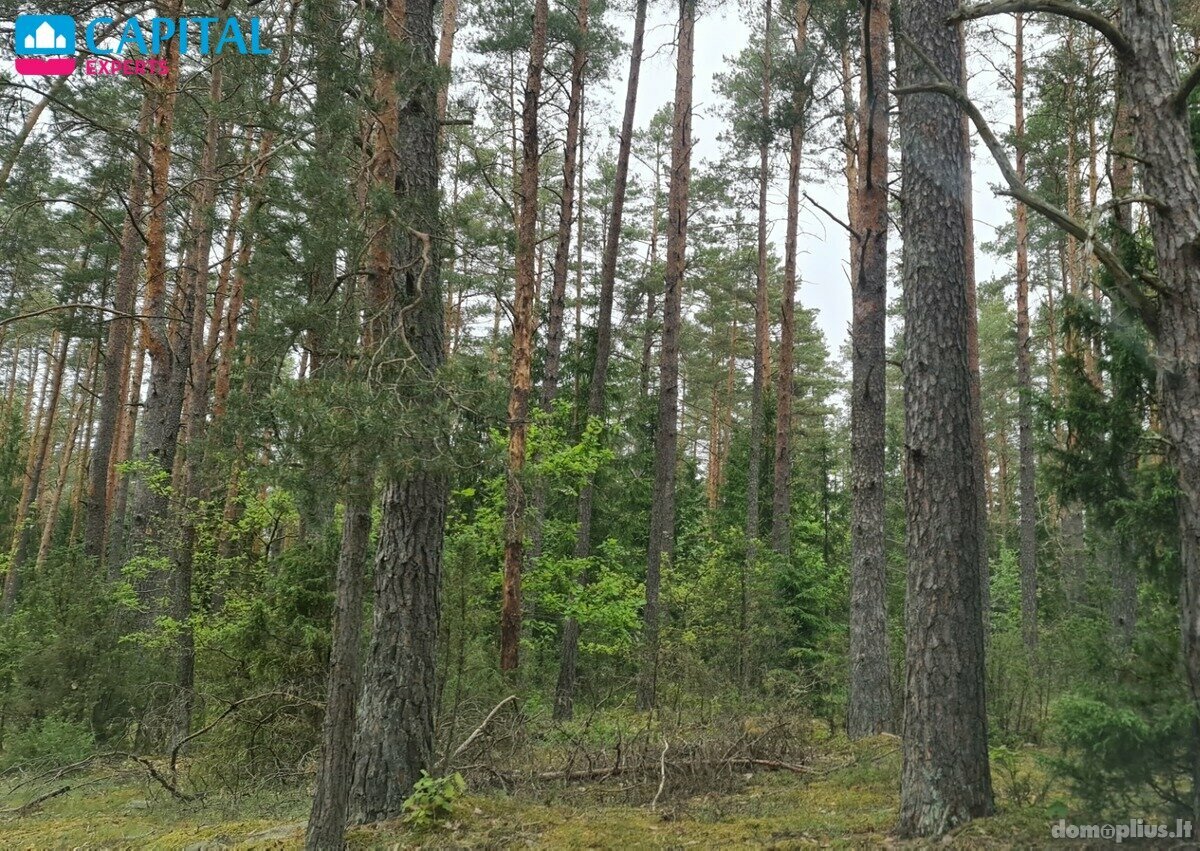 Участок Vilniaus rajono sav., Liepiškėse