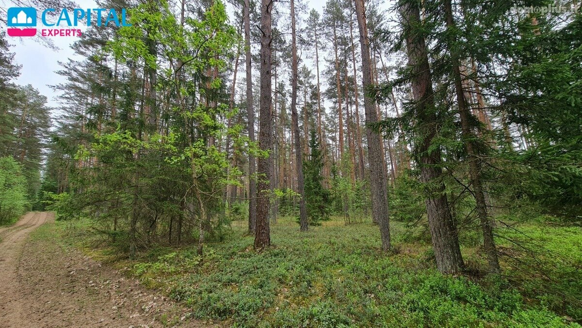 Участок Vilniaus rajono sav., Liepiškėse