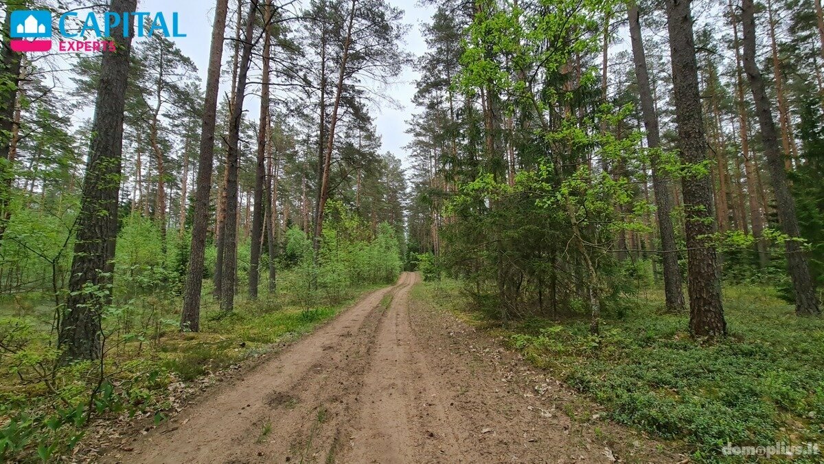 Участок Vilniaus rajono sav., Liepiškėse