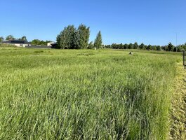 Land for sale Panevėžyje, Pilėnuose, V. Alanto g.