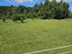 Land for sale Vilniuje, Paneriuose, Mūrinės Vokės g. (2 picture)