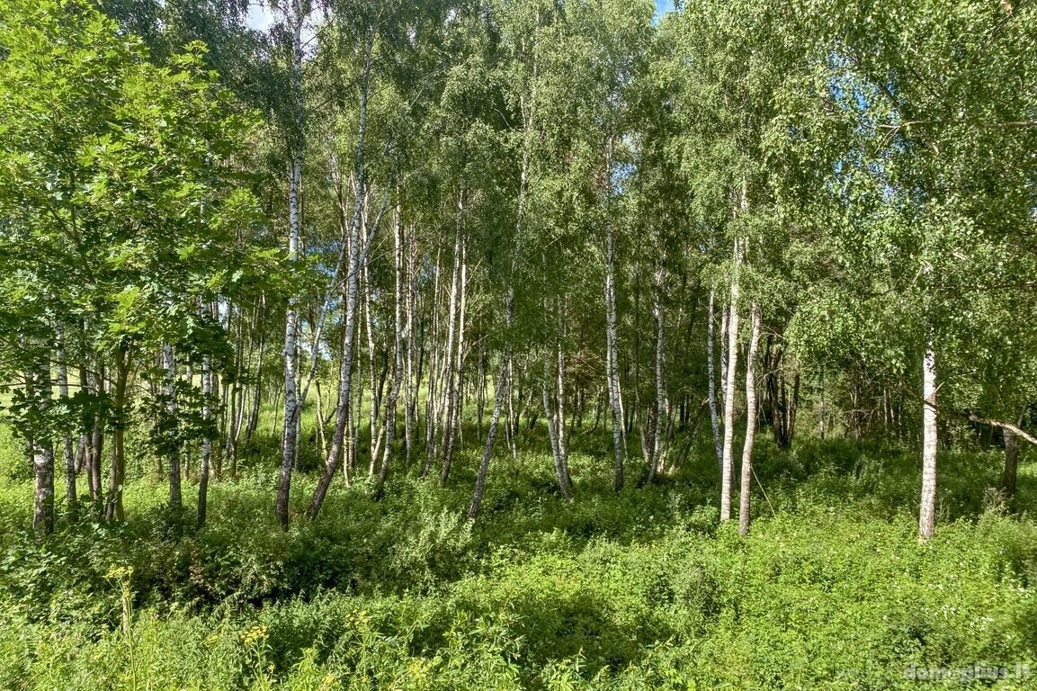 Parduodamas sklypas Trakų rajono sav., Padvariškėse