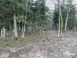 Parduodamas sklypas Šiaulių rajono sav., Bubiuose, Užtvankos g.