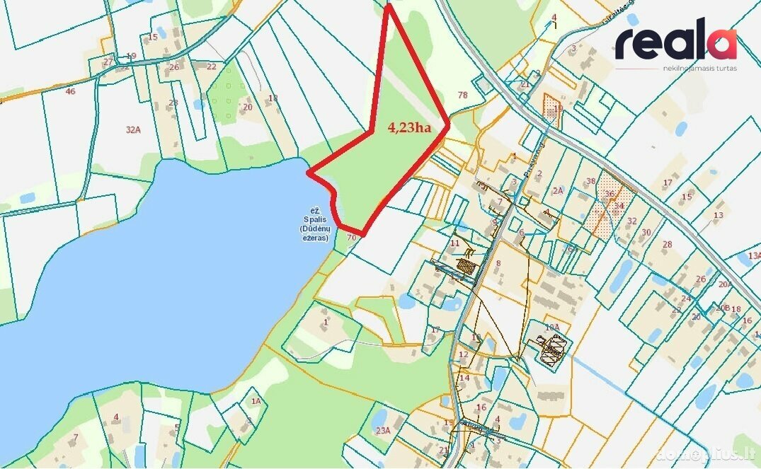 Parduodamas sklypas Molėtų rajono sav., Bekupėje