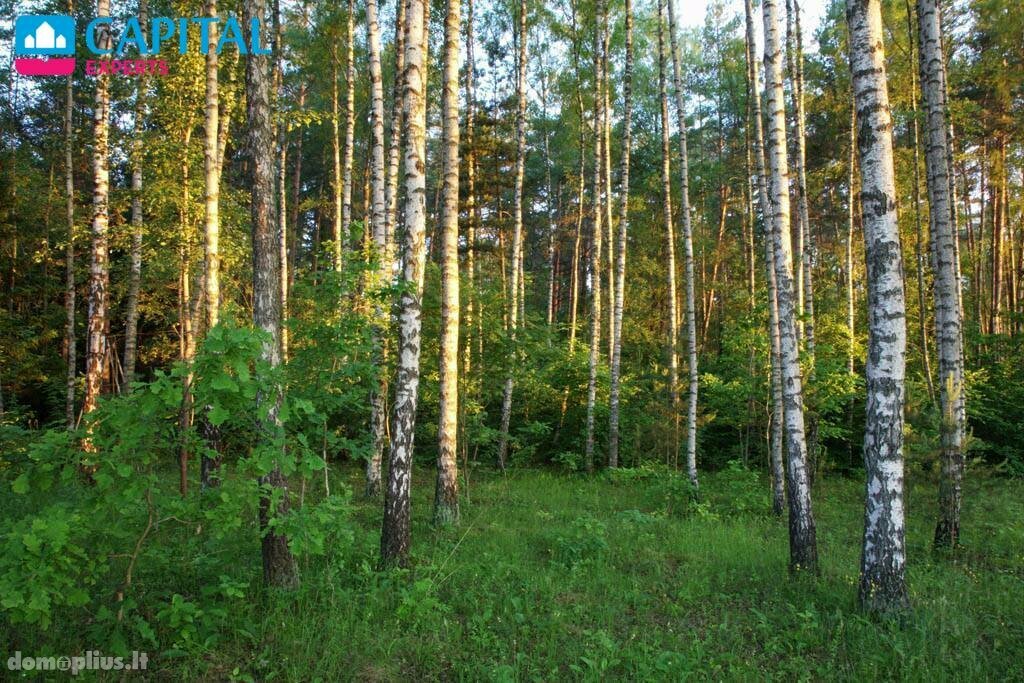 Parduodamas sklypas Vilniaus rajono sav., Liepiškėse