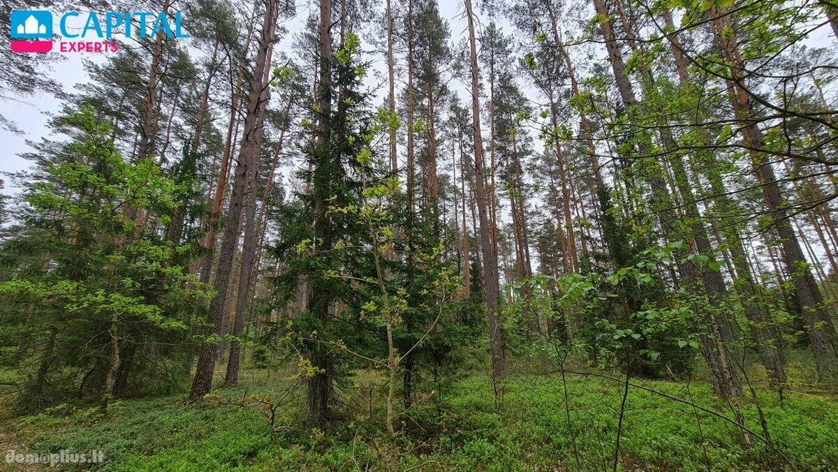Parduodamas sklypas Vilniaus rajono sav., Liepiškėse