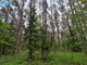 Parduodamas sklypas Vilniaus rajono sav., Liepiškėse (5 nuotrauka)