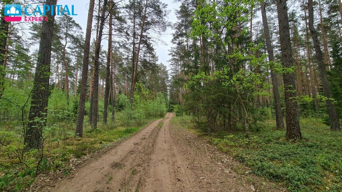 Parduodamas sklypas Vilniaus rajono sav., Liepiškėse